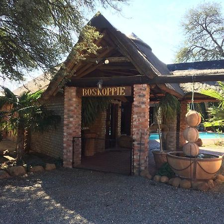 Boskoppie Lion & Tiger Reserve Kroonstad Extérieur photo