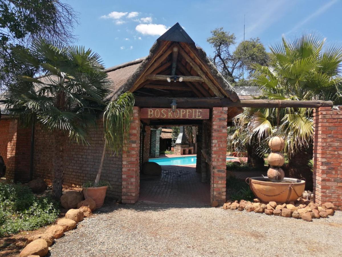 Boskoppie Lion & Tiger Reserve Kroonstad Extérieur photo